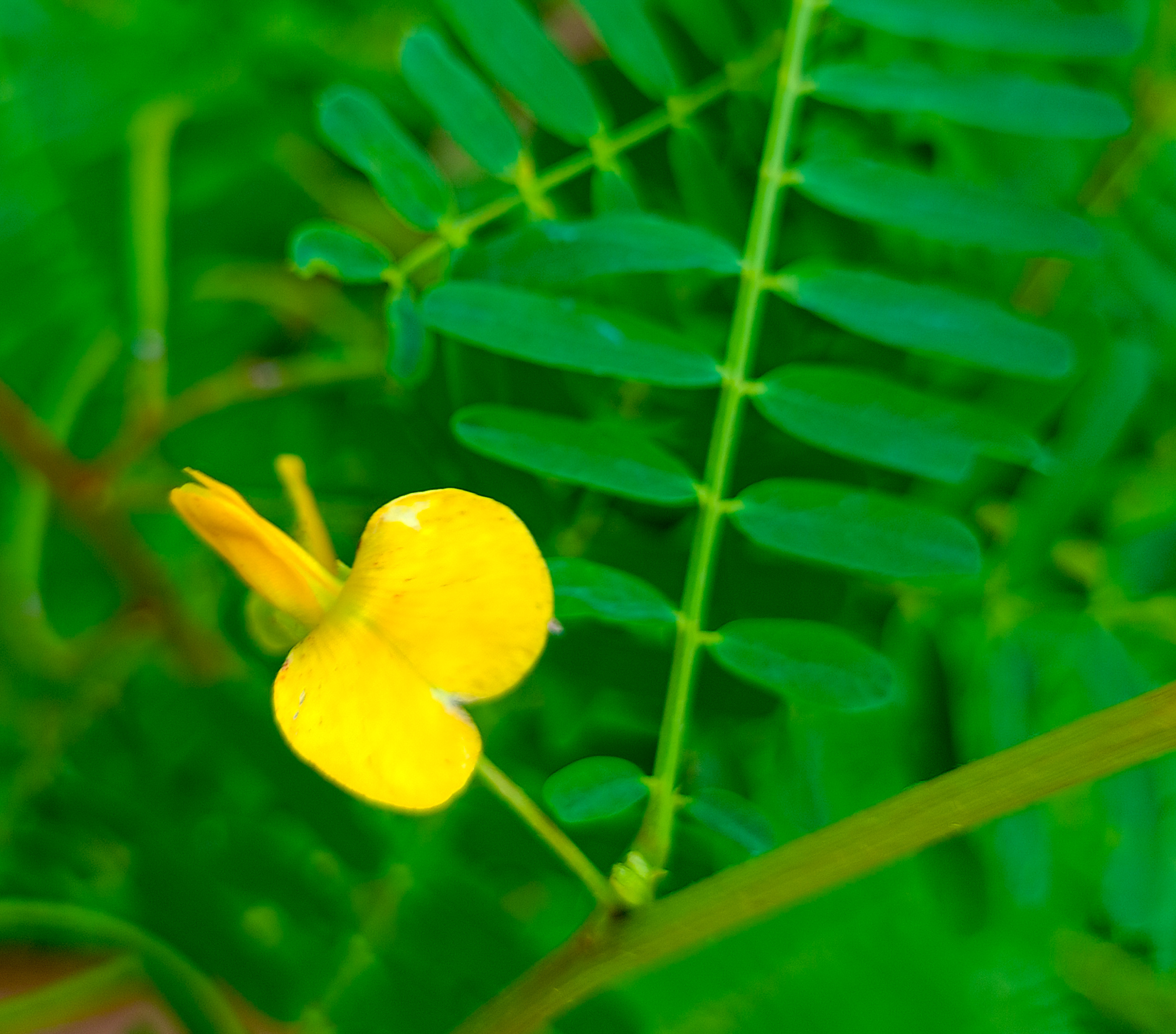 Onam bilan hammomda porno